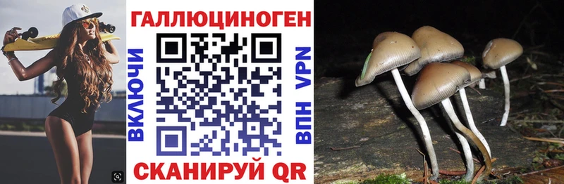 Купить где  Баксан  Галлюциногенные грибы мицелий 